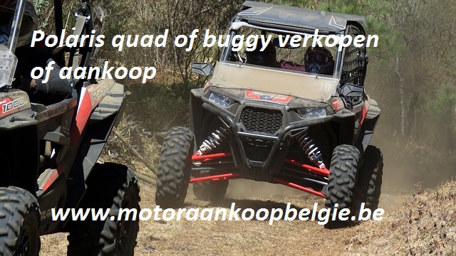 polaris quad of buggy verkopen of aankoop